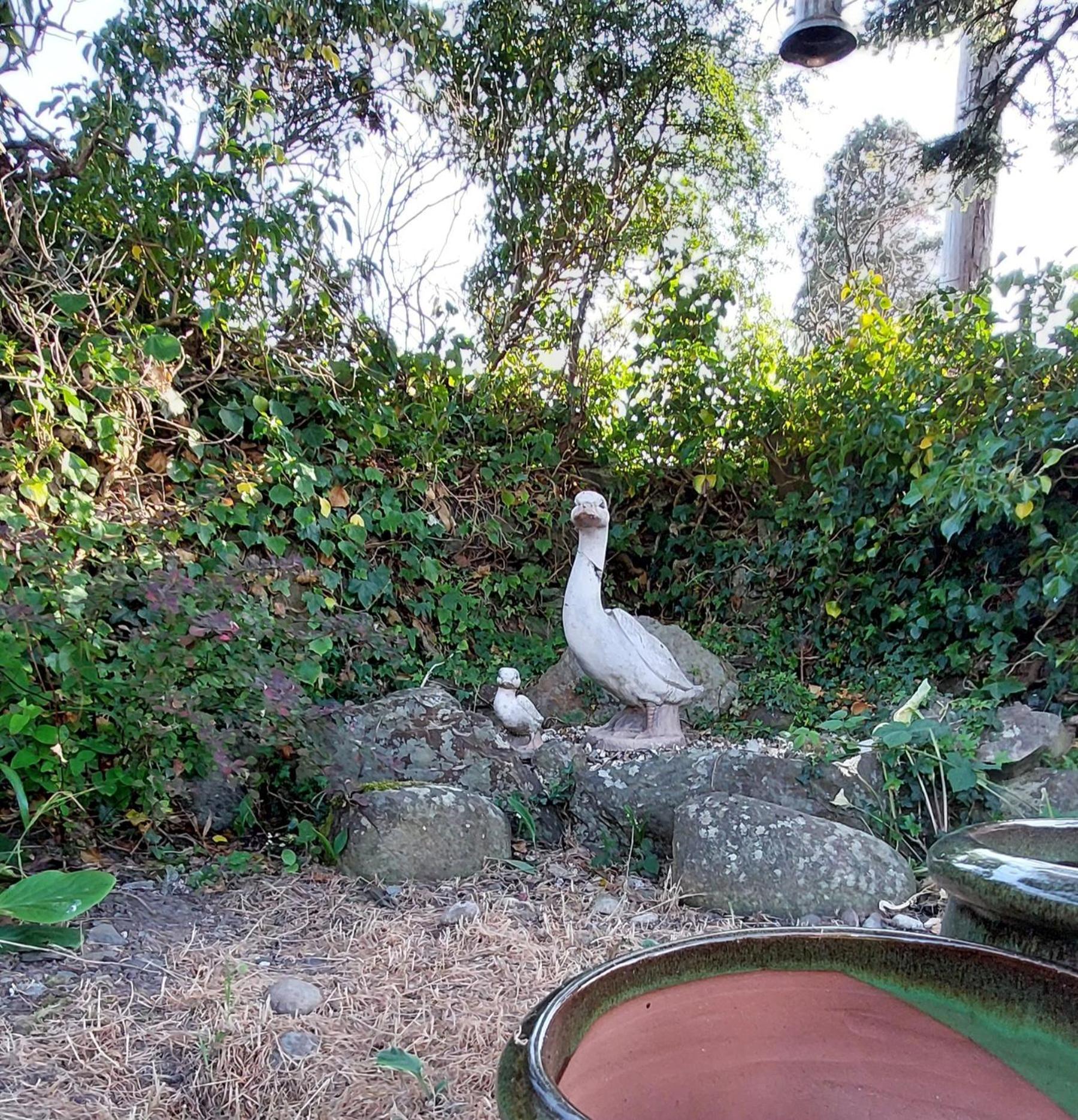 Glyn Isa Country House B&B And Self Catering Apartments Conwy Bagian luar foto